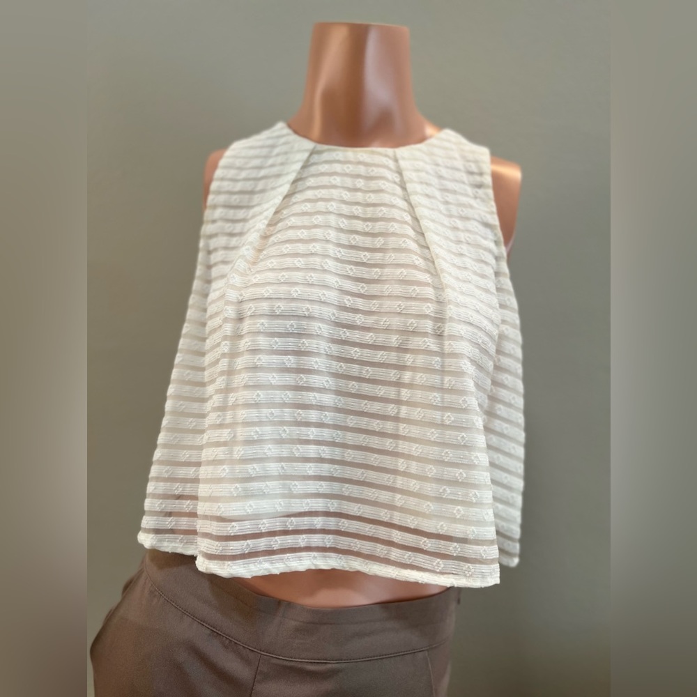 BAR III Crop Top
